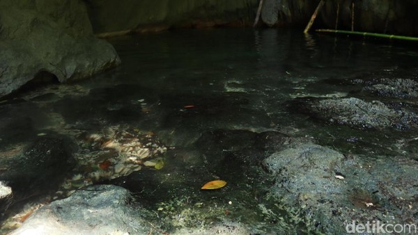 Kurang lebih 5 hingga 10 menit, traveler pun akan tiba di ujung perjalanan. Di ujung dapat dijumpai Kolam Ajelly sedalam 3 meter di antara tebing batu yang begitu bersih dan alami. Saking bersihnya, traveler bisa melihat dasar dari kolam tersebut (Randy/detikcom) Kurang lebih 5 hingga 10 menit, traveler pun akan tiba di ujung perjalanan. Di ujung dapat dijumpai Kolam Ajelly sedalam 3 meter di antara tebing batu yang begitu bersih dan alami. Saking bersihnya, traveler bisa melihat dasar dari kolam tersebut (Randy/detikcom)