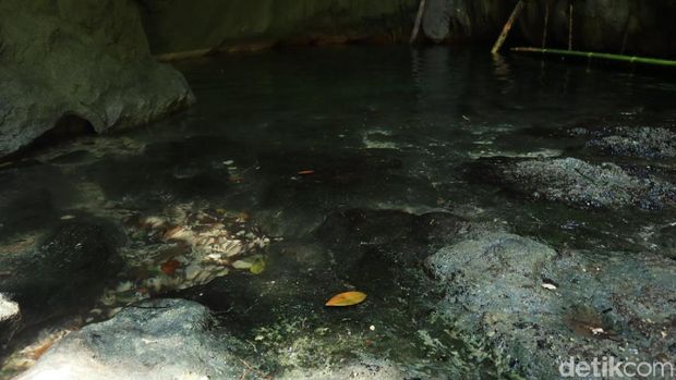 Segar Banget! Ada Kolam Alami Sejernih Ini di Raja Ampat