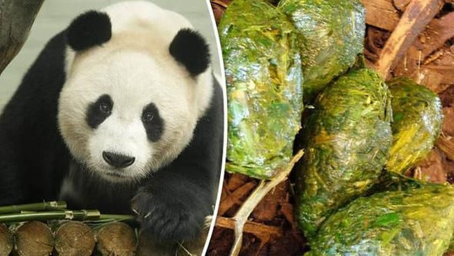 Enak Banget! 5 Makanan dan Minuman Ini Terbuat dari Tinja Hewan