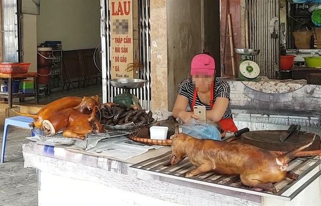 Kisah Seram Budaya Makan Daging Anjing di Berbagai Negara