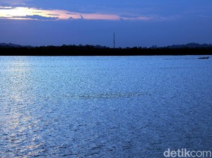 Berburu Harta Karun Bernilai Triliunan Pakai Drone Bawah Laut