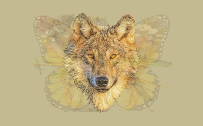 Serigala adalah hewan yang hidup berkelompok tapi ada kalanya mereka juga berkelana sendirian tanpa rasa takut. Seperti itu pula dirimu. Bisa dibilang kamu orang yang sayang keluarga namun sesekali membutuhkan me time. Keluarga atau teman melihat kamu sebagai pribadi yang tangguh dan berkarakter kuat. Dan di situlah pesonamu terlihat. Foto: Dok. The Arctic Fox