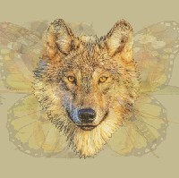 Serigala adalah hewan yang hidup berkelompok tapi ada kalanya mereka juga berkelana sendirian tanpa rasa takut. Seperti itu pula dirimu. Bisa dibilang kamu orang yang sayang keluarga namun sesekali membutuhkan me time. Keluarga atau teman melihat kamu sebagai pribadi yang tangguh dan berkarakter kuat. Dan di situlah pesonamu terlihat. Foto: Dok. The Arctic Fox