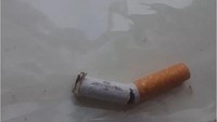 Puntung rokok bekas Rihanna. Pernah kena bibir Rihanna katanya. Istimewa/Dok. Boredpanda.