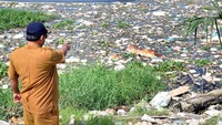 Petugas Dinas Ketahanan Pangan dan Peternakan Sumut mengamati bangkai babi dari sisi danau.