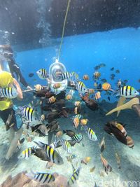 Liburan ke Nusa Penida, Wajib Main Air!
