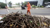 Sebelum di kawasan ini, sejumlah pohon juga menjadi korban proyek pedestarian seperti di Cikini dan Kramat.