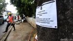 Pohon di Kemang ini Menunggu Giliran Ditebang