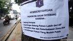 Pohon di Kemang ini Menunggu Giliran Ditebang