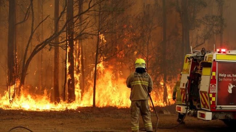 Foto: Kebakaran hutan di wilayah dekat Kota Taree, NSW. Australia (news corp australia) Foto: Kebakaran hutan di wilayah dekat Kota Taree, NSW. Australia (news corp australia)