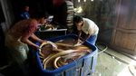 Produksi Ikan di Perbatasan Ini Tembus Pasar Singapura