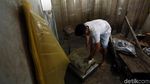 Produksi Ikan di Perbatasan Ini Tembus Pasar Singapura