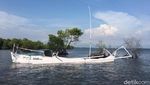 Foto: Surga Bawah Laut yang Tersembunyi di Sulawesi Barat