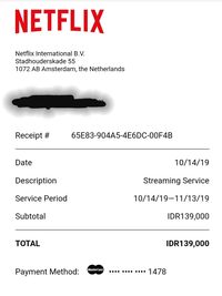 Netflix dan Bukti Konkret Ekonomi Indonesia Bocor!