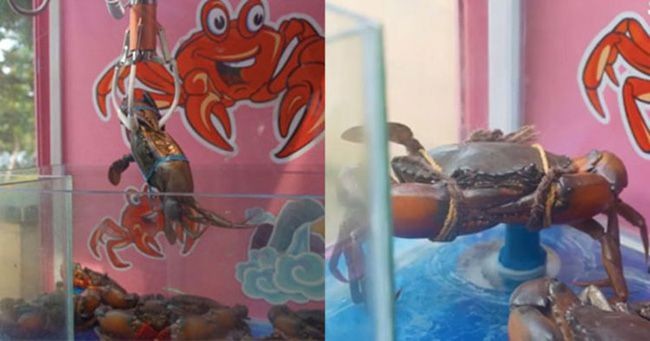 Hanya Gara-gara Pajangan, 5 Restoran Ini Diprotes Keras Netizen