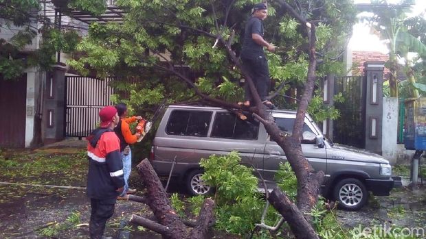 Hujan Disertai Angin, Pohon Tumbang Timpa Mobil di Kudus