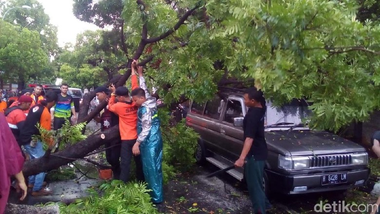 Hujan Disertai Angin, Pohon Tumbang Timpa Mobil di Kudus Hujan Disertai Angin, Pohon Tumbang Timpa Mobil di Kudus