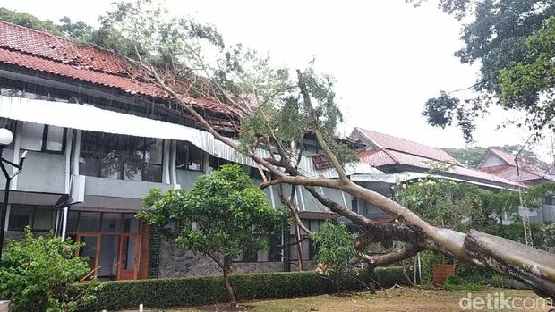 Diterjang Hujan Angin, Beringin Tumbang Timpa Kantor Wabup Garut