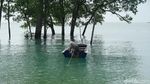Foto: Pantai RI Ini Ramai Turis, tapi Masih Terbatas Listrik
