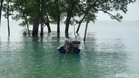 Absennya listrik ini turut berpengaruh terhadap tanggapan wisatawan Pantai Pelawan yang kerap singgah di warungnya hanya untuk charge HP (Foto: Ahmad Masaul Khoiri/detikcom)