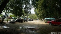 Pantai Pelawan punya area warung dan gazebo terlihat sejuk karena tertutupi pohon kelapa yang berjejer sepanjang pantai (Foto: Ahmad Masaul Khoiri/detikcom)
