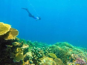 Surga Bawah Laut Sulawesi yang Mungkin Belum Kamu Tahu