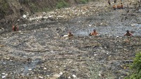 Ditargetkan sampah tersebut dapat dibersihkan dalam waktu 14 hari.