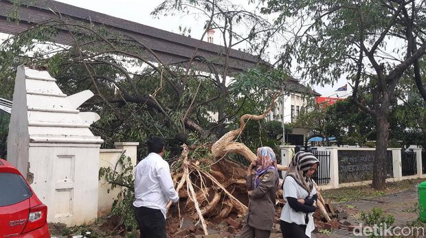 Hujan disertai angin kencang menumbangkan pohon dan tower di Serang