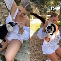 Francia James mengalami peristiwa tak terduga saat ia berkeliling kebun binatang di Webster, Florida. Model seksi ini sedang mencoba memberi makan lemur ketika hewan tersebut menerobos masuk ke bajunya. Foto: Instagram