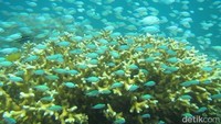Menurut pengelola, kawasan wisata GMP ramai pengunjung pada bulan November hingga Mei. (Abdy Febriady/Istimewa Pengelola)