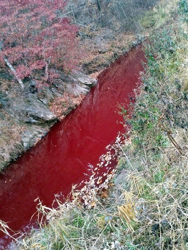 Sungai Imjin di Korsel berwarna merah 
