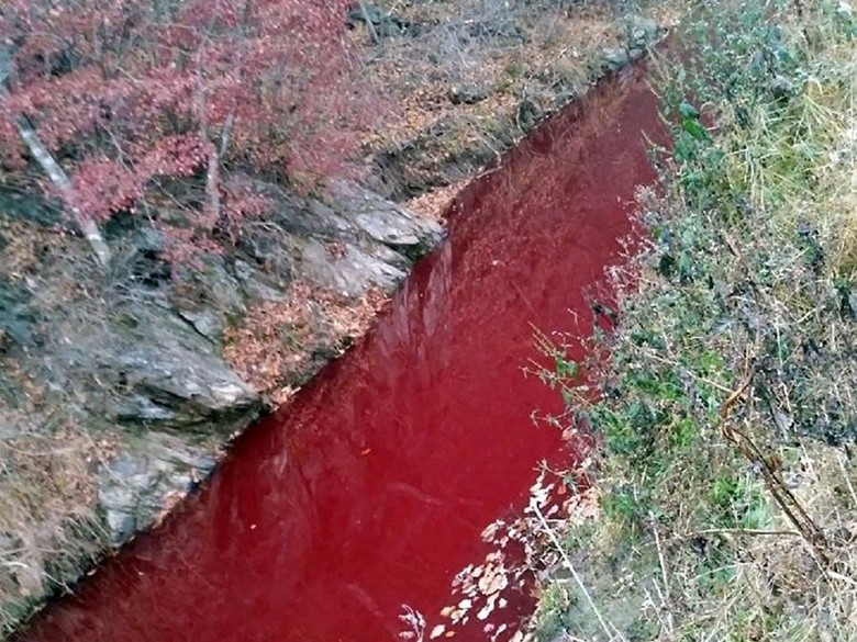 Hiii... Sungai di Perbatasan Korea Tiba-tiba Berubah Warna Jadi Merah Hiii... Sungai di Perbatasan Korea Tiba-tiba Berubah Warna Jadi Merah