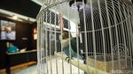 Melihat Pameran Fotografi dengan Instalasi Menarik di Jakarta
