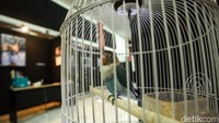 Tidak hanya pameran foto, beberapa seminar fotografi juga turut mengisi acara ini.