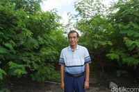 Terpikat Eduwisata Pohon Penghasil Listrik dari Pulau Kundur