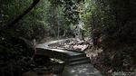 Menikmati Keasrian Air Terjun Desa Pongkar di Tapal Batas RI