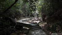 Menariknya, selain sebagai destinasi wisata kawasan air terjun ini juga diperuntukkan sebagai hutan lindung. Di sepanjang jalan menuju air terjun pengunjung dapat melihat beragam pohon-pohon langka seperti pohon Beluka dan Pulai berada di kawasan air terjun tersebut.