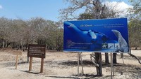 Pulau Komodo punya kondisi cuaca yang panas dan terik. Sehingga, pemasangan PLTS di Pulau Komodo merupakan keputusan yang tepat.