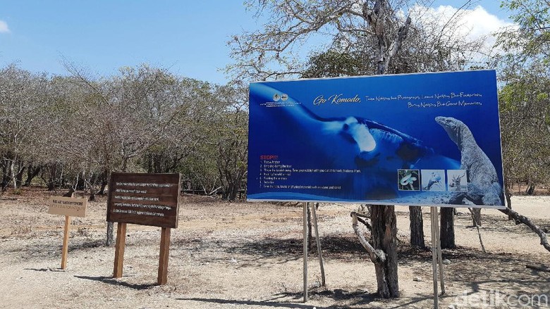 Pulau Komodo (Achmad Dwi Afriyadi/detikcom) Pulau Komodo (Achmad Dwi Afriyadi/detikcom)