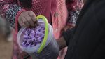 Memanen Rempah Termahal di Dunia