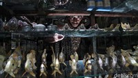 Bahkan, untuk Karya pria kelahiran Brebes ini tak hanya dinikmati di Indonesia, melainkan juga sudah menjelajah sejumlah negara seperti Belanda, Spanyol, dan Taiwan.
