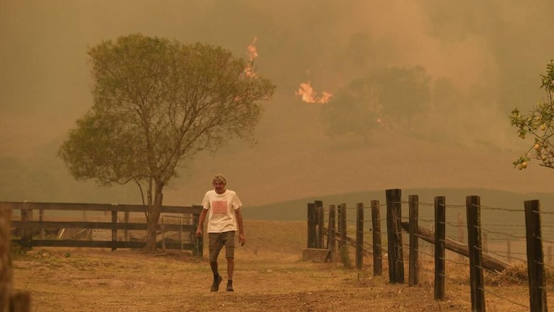 Remaja 16 Tahun Diinterogasi terkait Kebakaran Hutan Australia Remaja 16 Tahun Diinterogasi terkait Kebakaran Hutan Australia