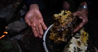 Demi Bertahan Hidup, Orang-orang Ini Rela Ambil Madu di Tebing Curam
