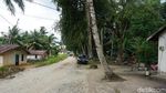 Potret Pulau Para Janda di Perbatasan RI