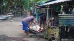 Potret Pulau Para Janda di Perbatasan RI
