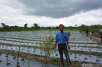 Pulau Kundur, Daerah Perbatasan RI Penghasil Durian Kelas Wahid