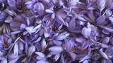 6 Manfaat Saffron, Rempah Termahal di Dunia untuk Kesehatan