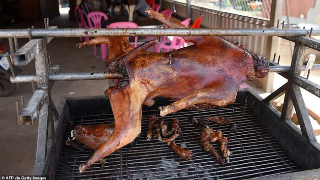 Konsumsi Daging Anjing di Kamboja hingga Kulineran Lisa BLACKPINK