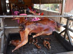 Industri Daging Anjing di Kamboja, Menyeramkan Tapi Populer