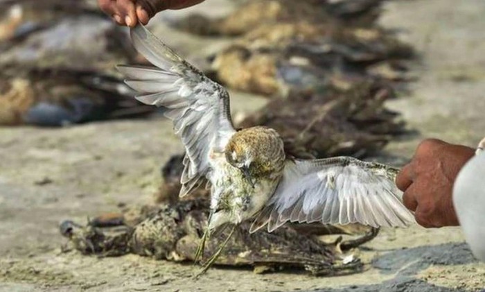 Foto: India Today Foto: India Today